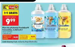 Biedronka Płyn do płukania Coccolino fresh&soft Fresh oferta
