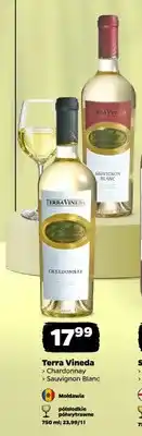 Netto Wino białe Terra Vineda Chardonnay oferta