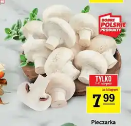 Gram Market Pieczarka polska oferta