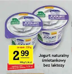 Gram Market Jogurt naturalny śmietankowy bez laktozy Maluta oferta