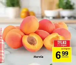 Gram Market Morela oferta