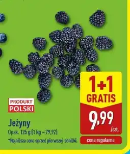 ALDI Jeżyny oferta