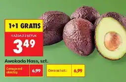 Biedronka Awokado Hass oferta