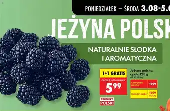 Biedronka Jeżyna polska oferta