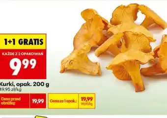 Biedronka Kurki oferta