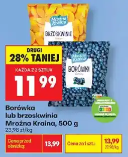 Biedronka Borówka lub brzoskwinia Mroźna Kraina oferta
