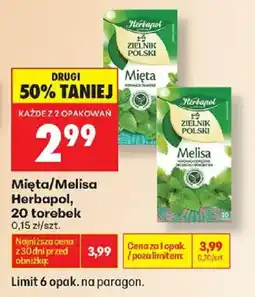 Biedronka Mięta/Melisa Herbapol oferta