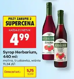 Biedronka Syrop Herbarium oferta