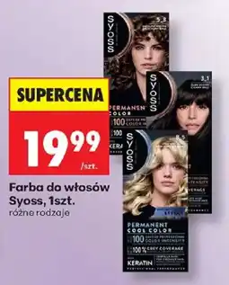 Biedronka Farba do włosów Syoss oferta