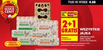 Biedronka Jaja Moja Kurka oferta
