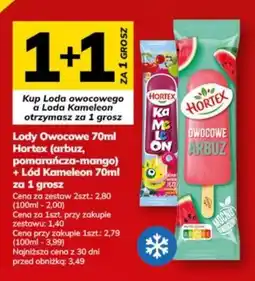Hitpol Lody Owocowe Hortex oferta
