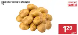 Stokrotka Ziemniaki Wczesne Jadalone oferta