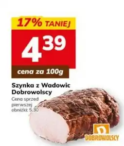 Hitpol Szyinka z Wadowic Dobrowolscy oferta