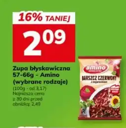 Hitpol Zupa błyskawiczna Amino oferta