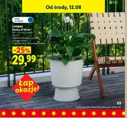 Lidl Donica LIVARNO oferta