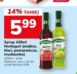 Hitpol Syrop o smaku kiwi Herbapol oferta