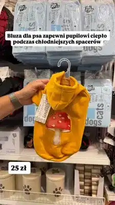 Pepco Bluza dla psa oferta