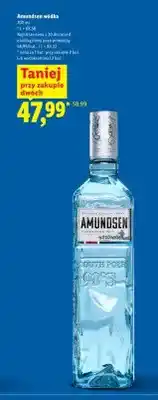 Lidl Wódka Amundsen oferta
