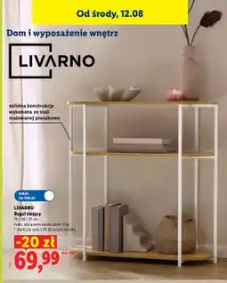Lidl Regał stojący LIVARNO oferta