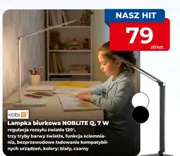 Mrówka Lampka Kobi oferta