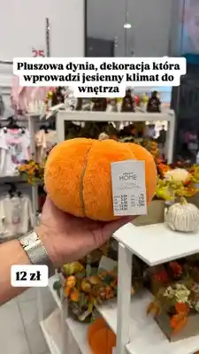 Pepco Pluszowa dynia Pepco Home Autumn Decoration oferta