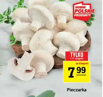 Gram Market Pieczarki oferta
