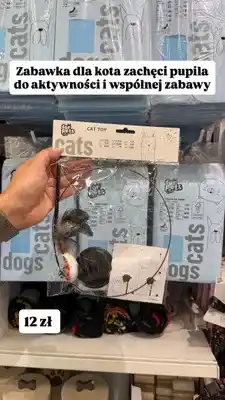 Pepco Zabawka dla kota for pets oferta