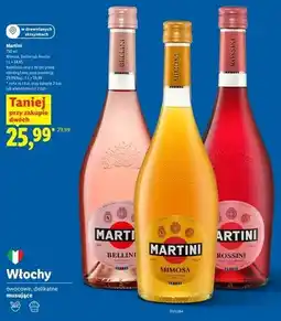 Lidl Wino musujące Martini Bellini oferta