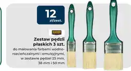 Mrówka Zestaw pędzli do malowania Hardy oferta