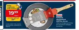 Mrówka Patelnia Cotta oferta