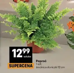 Delikatesy Centrum Paproć oferta