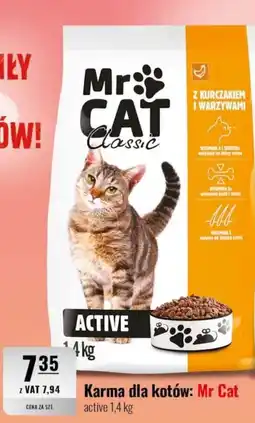 Eurocash Karma dla kotów: Mr Cat active oferta