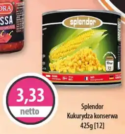 DUO-TES Splendor kukurydza konserwa oferta