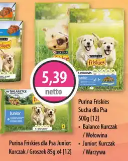 DUO-TES Purina Friskies Sucha dla Psa Junior oferta