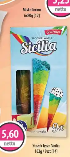 DUO-TES Stożek tęcza Sicilia oferta