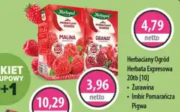 DUO-TES Herbata Expressowa Herbacyjny Ogród oferta
