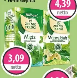DUO-TES Herbapol Mięta oferta