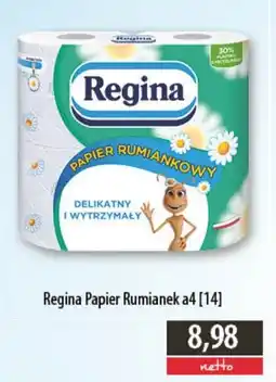 DUO-TES Regina Papier Rumianek a4 oferta