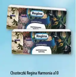 DUO-TES Chusteczki Regina Harmonia oferta