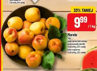 Polomarket Morele oferta