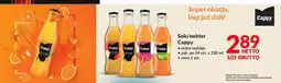 Makro Sok pomarańczowy 100% Cappy oferta
