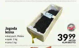 Makro Jagoda leśna Polska oferta