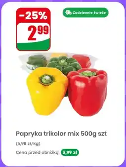 Dino Papryka trikolor mix oferta