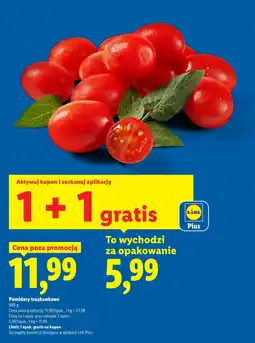 Lidl Pomidory Plus-Plus oferta