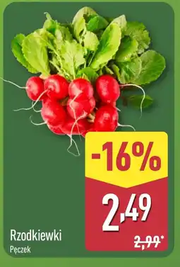 ALDI Rzodkiewki oferta