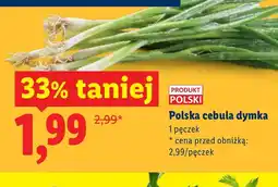 Lidl Cebula dymka Polski oferta