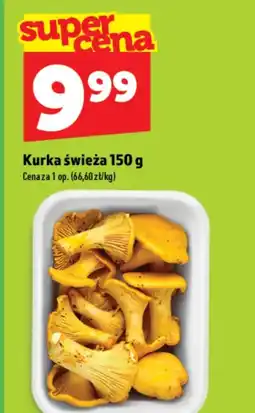 Topaz Kurka oferta