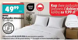 Biedronka Poduszka Smukee oferta