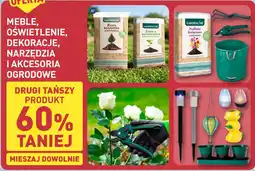 ALDI Meble, oświetlenie, dekoracje, narzędzia i akcesoria ogrodowe oferta