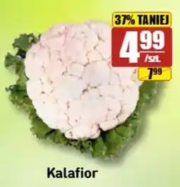 API MARKET Kalafior oferta